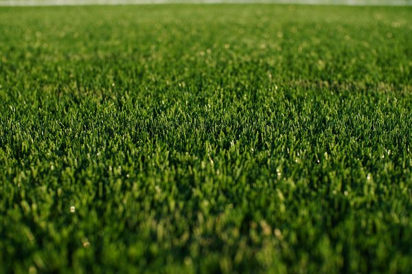 Gazon synthétique : 5 raisons de l'adopter dès aujourd'hui !