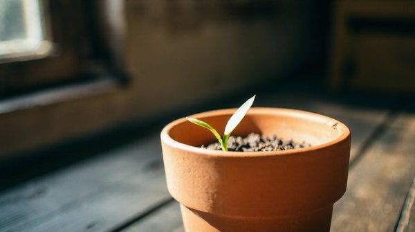 Nématodes à acheter : solution naturelle pour éliminer les larves